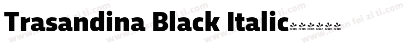 Trasandina Black Italic字体转换